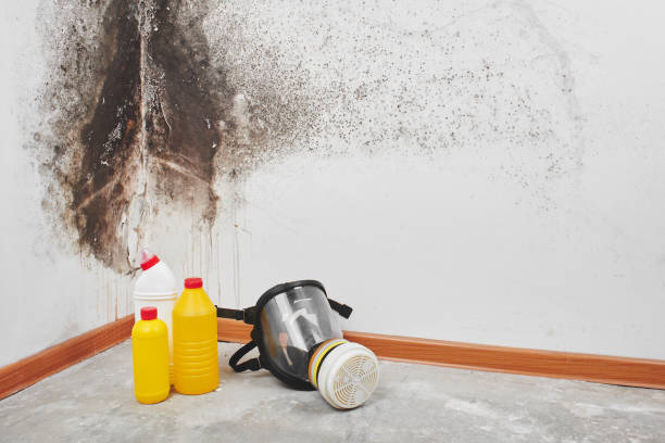 Best Residential Mold Removal  in Piedmont, OK